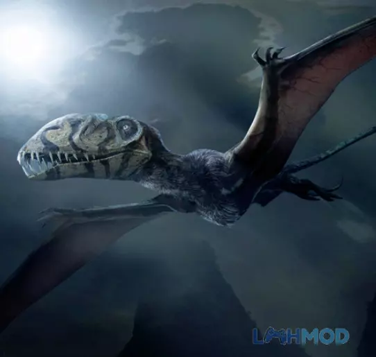 Tải Dimorphodon Simulator Mod Apk 1.0.8 (Vô hạn tiền) cho Android