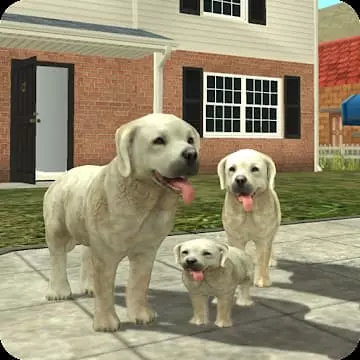 Tải game Dog Sim Online Mod APK 202 (Vô Hạn Tiền)