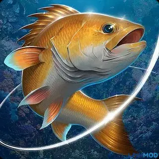 Ảnh 1 của Tải Fishing Hook Mod APK 2.4.6 (Vô Hạn Tiền) Giao diện Fishing Hook Mod với cảnh người chơi câu cá