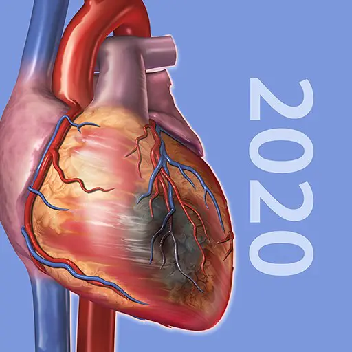 Physiology & Pathology MOD APK 1.1.06 (Trả tiền)