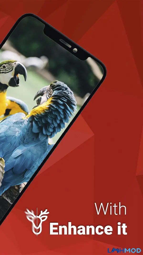 Ảnh 3 của Tải ứng dụng Enhance it Apk 3.4.3 cho Android, IOS Người dùng đang thao tác trên màn hình chính của Enhance it