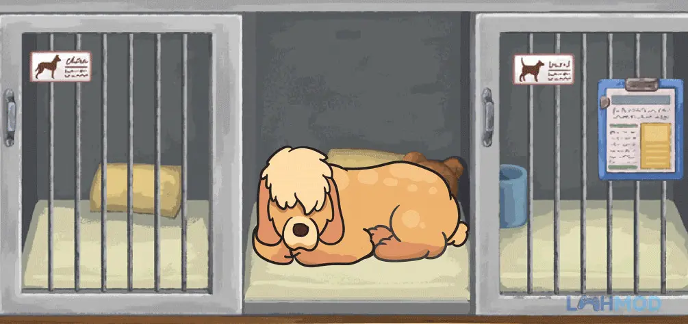 Ảnh 4 của Tải game Old Friends Dog Game Mod Apk 1.18.21 (Vô Hạn Vé, Tiền) cho Android iOs Không gian sân vườn được trang trí đẹp mắt trong khu bảo tồn chó