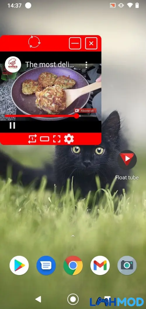 Ảnh 1 của Tải Float Tube Apk 1.0.8 cho Android Người dùng đang xem video YouTube trong cửa sổ nổi Float Tube