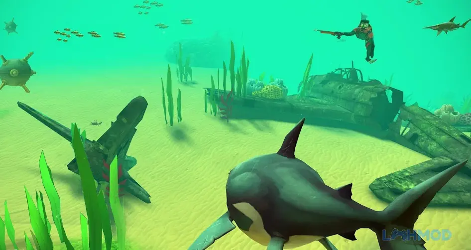 Ảnh 3 của Tải Hungry Shark VR Apk 1.0 cho Android iOs Cá mập săn mồi trong rạn san hô đầy màu sắc