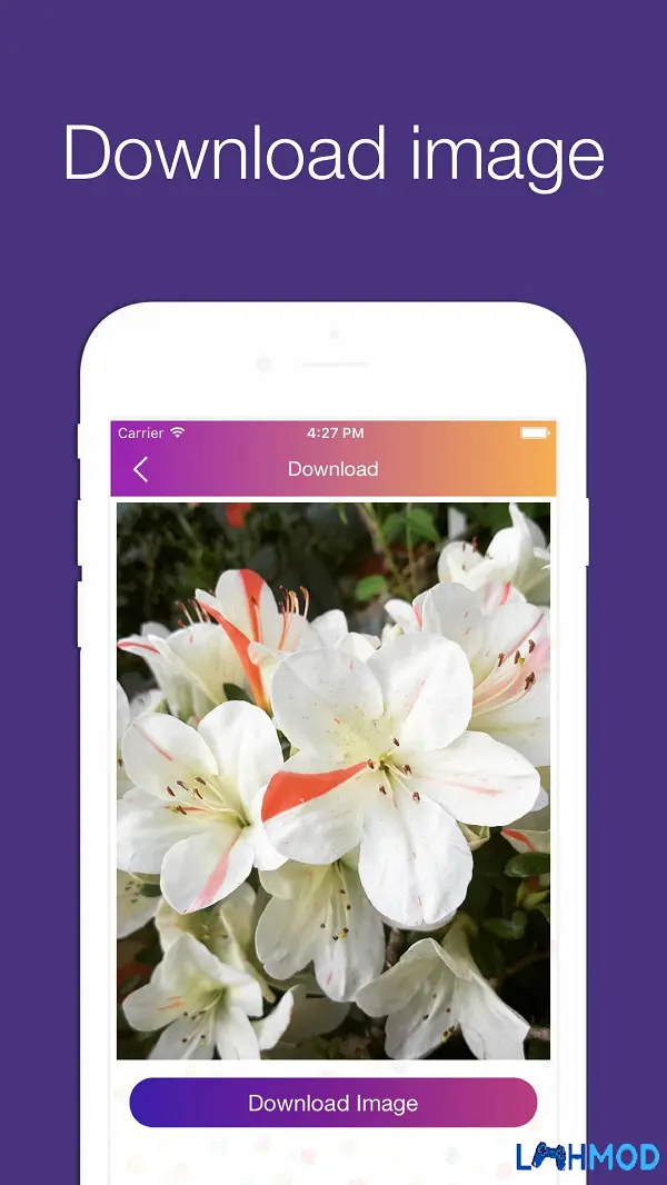 Ảnh 3 của Tải ứng dụng InstaSave Apk 1.0 cho Android, IOS Minh họa cách sử dụng InstaSave để tải ảnh