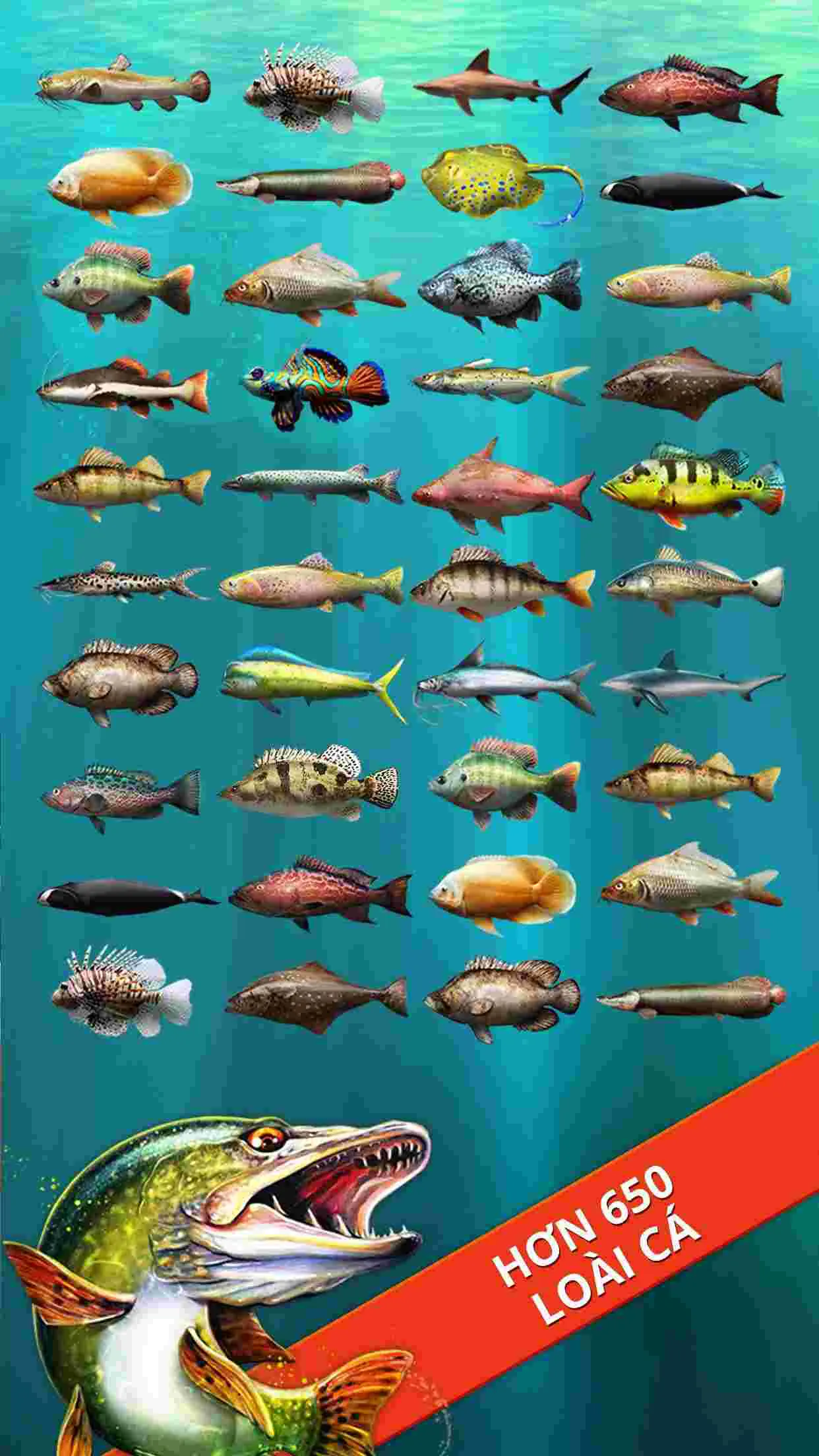 Ảnh 5 của Tải game Let’s Fish Mod APK 6.0.0 (Câu cá nhanh, Dây câu không đứt) Giao diện tổng quan của game Let's Fish hiển thị các loại cá và vật phẩm