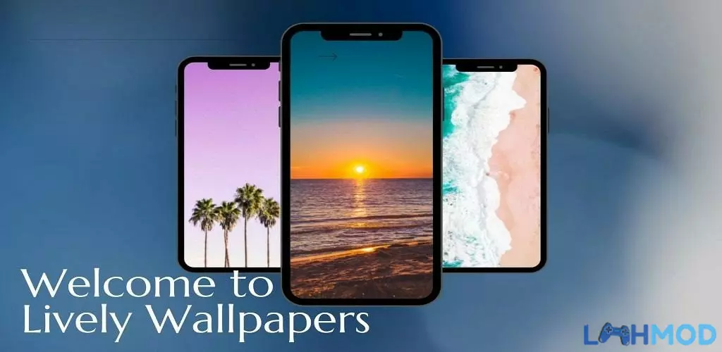 Ảnh 2 của Download Lively Wallpaper App 1.2 Cho Android Giao diện cài đặt và thông tin cơ bản của Lively Wallpaper trên điện thoại