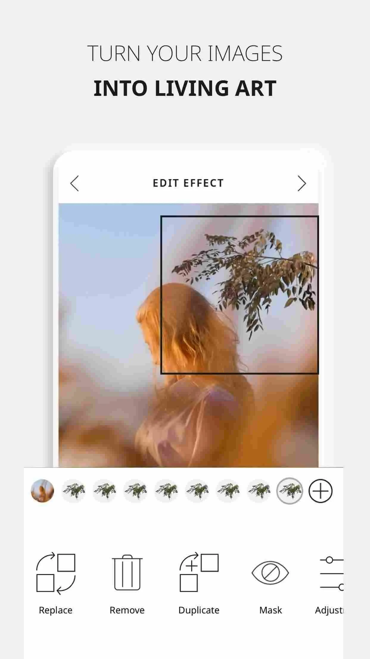 Ảnh 2 của Tải VIMAGE Mod APK 3.3.0.2 (Mở Khóa Pro) cho Android Alt text mô tả giao diện chính của VIMAGE Mod với các tùy chọn chỉnh sửa ảnh