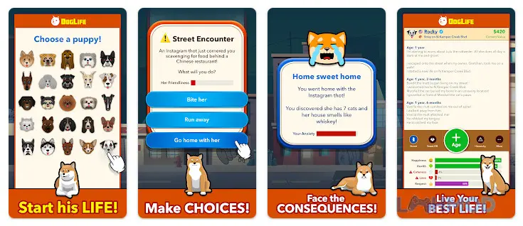 Ảnh 1 của Tải DogLife BitLife Dogs Mod Apk 1.6.2 (Top Dog) cho Android iOs Chân dung chú chó Shiba vui vẻ đang nhìn ngắm thế giới