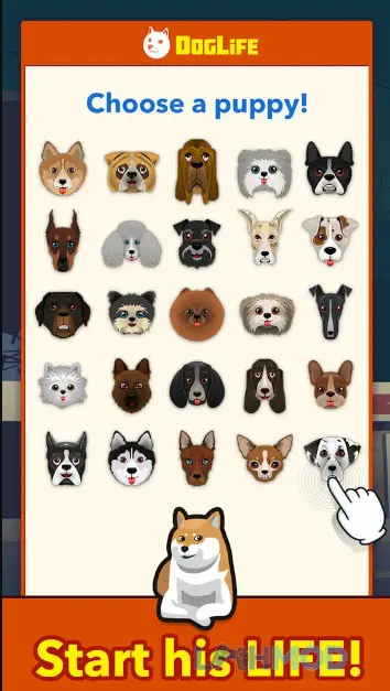 Ảnh 3 của Tải DogLife BitLife Dogs Mod Apk 1.6.2 (Top Dog) cho Android iOs Một chú chó Labrador thân thiện đang vui đùa