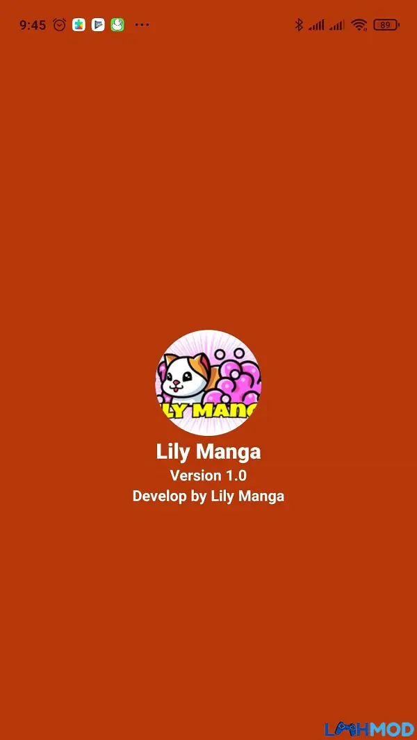 Ảnh 4 của Tải Lily Manga Apk 1.0 cho Android, IOS Giao diện tùy chỉnh màn hình chính với widget và icon theo chủ đề
