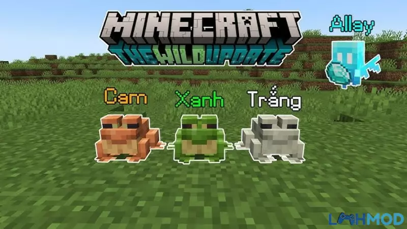 Ảnh 6 của Tải Minecraft 1.19.0 Apk Tiếng Việt Cho Android Miễn Phí Ba loại ếch trong phiên bản Minecraft 1.19.0 Apk
