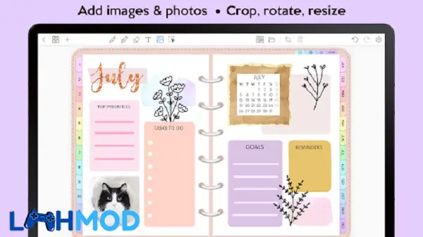 Ảnh 3 của Tải ứng dụng Penly APK 1.18.16 cho Android iOS Thiết lập tùy biến chuyên sâu trên Penly
