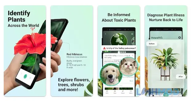 Ảnh 2 của Tải PictureThis Mod Apk 3.33 (Mở Khóa Premium) cho Android iOs Giao diện chính PictureThis hiển thị các loại cây và tùy chọn nhận diện