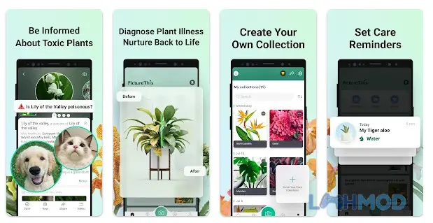 Ảnh 4 của Tải PictureThis Mod Apk 3.33 (Mở Khóa Premium) cho Android iOs Phần nhật ký trồng cây trong PictureThis ghi lại quá trình phát triển