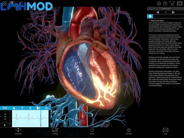 Ảnh 3 của Physiology & Pathology MOD APK 1.1.06 (Trả tiền) Mô hình giải phẫu 3D chi tiết của cơ thể người trong Physiology & Pathology MOD