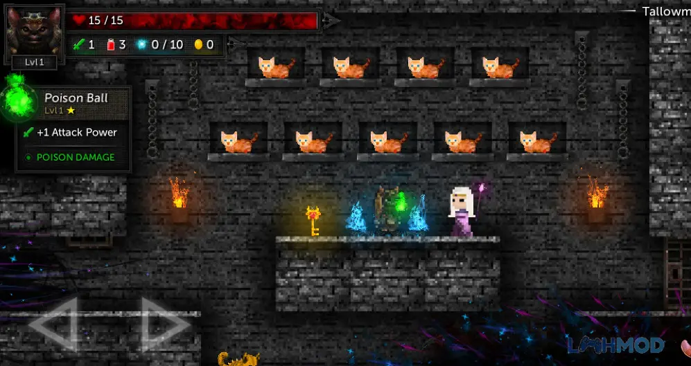 Ảnh 2 của Tải Tallowmere 2 Mod Apk 0.4.0a (Mở khóa All Content) cho Android iOs Anh hùng Tallowmere 2 đối mặt với kẻ thù trong hầm ngục