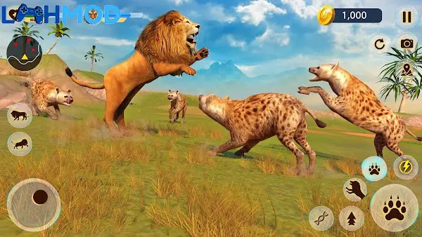 Ảnh 2 của Lion Games Animal Simulator 3D APK 1.6 Android iOS Cảnh sư tử đối đầu với một con báo trong tự nhiên